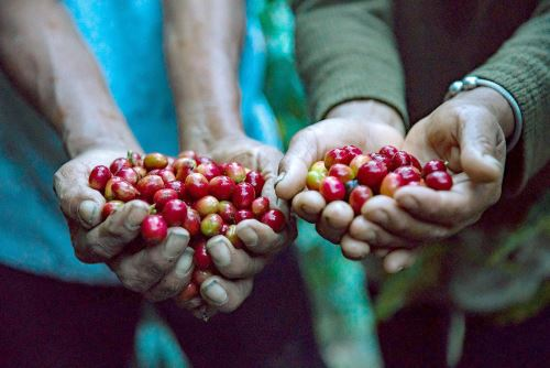 Café natural