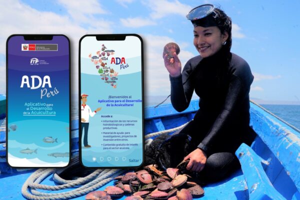 PRODUCE: conoce “ADA Perú”, la app gratuita que conecta tecnología y desarrollo productivo a favor de la acuicultura